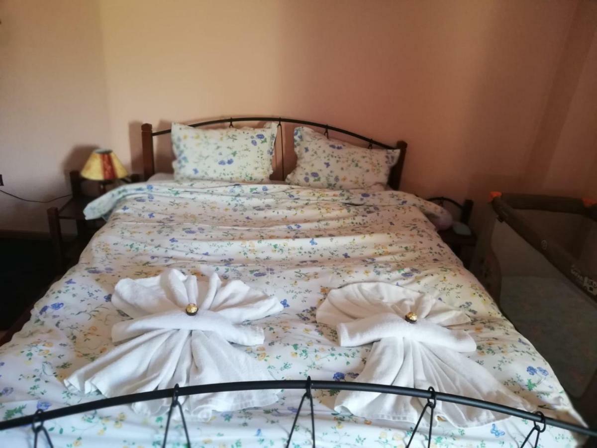 Ambrozia Spa&Relax family house Bacskovo Kültér fotó