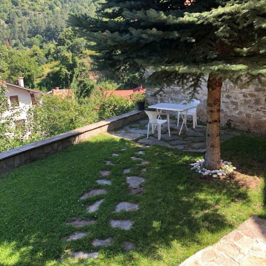 Ambrozia Spa&Relax family house Bacskovo Kültér fotó