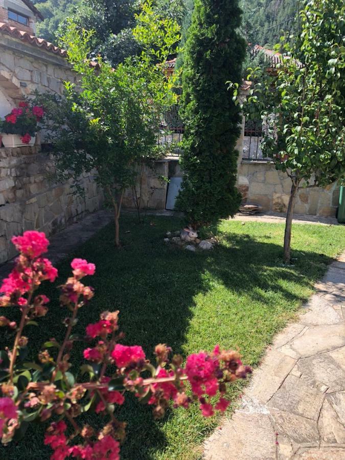Ambrozia Spa&Relax family house Bacskovo Kültér fotó