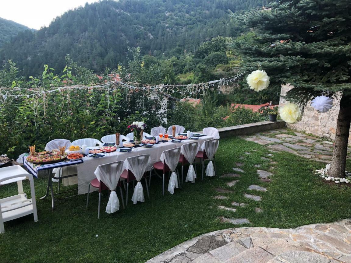 Ambrozia Spa&Relax family house Bacskovo Kültér fotó