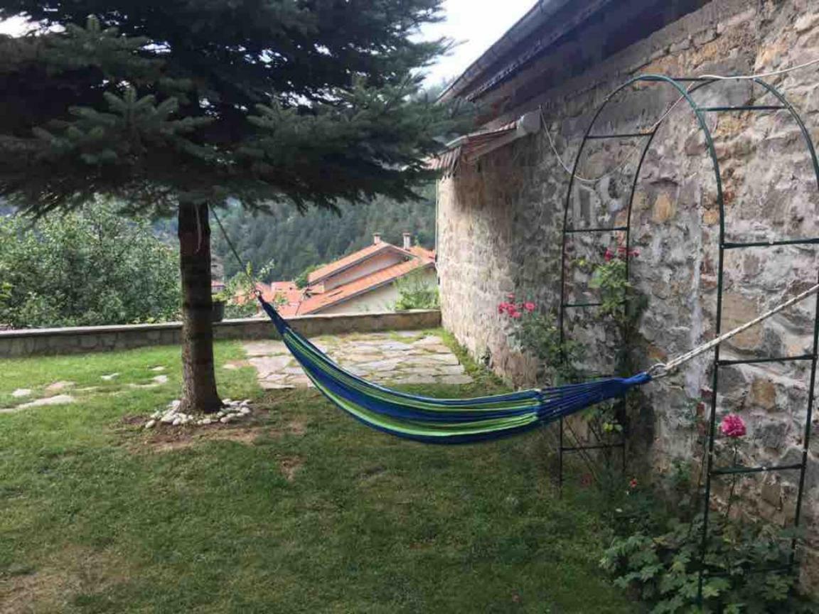 Ambrozia Spa&Relax family house Bacskovo Kültér fotó